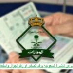 الاستعلام عن تأشيرة العمرة برقم الجواز