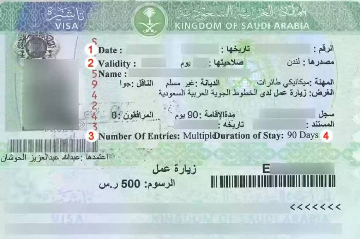 تأشيرة السياحة السعودية للمصريين
